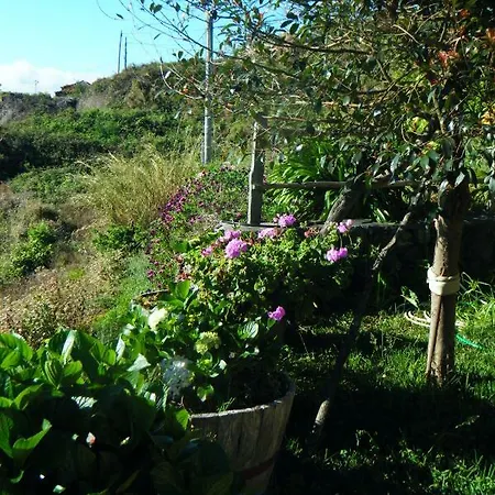 Kır Evi La Florida