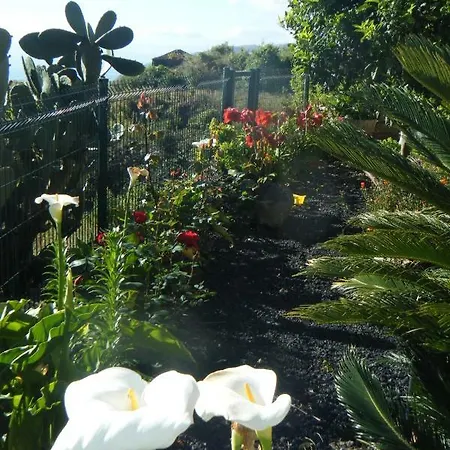 Country house La Florida *